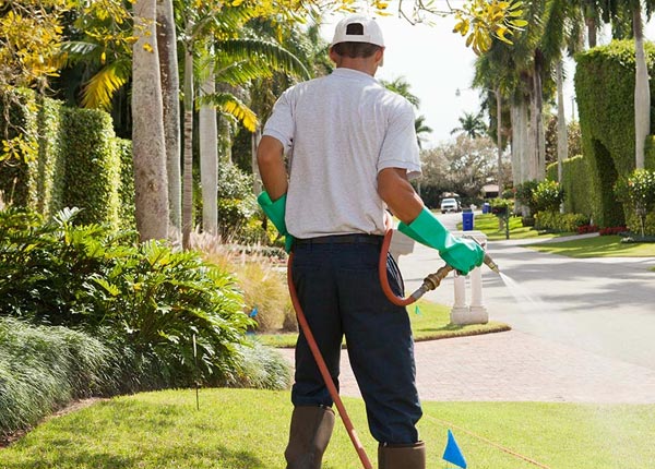 About Jasper GA Pest Control Pros